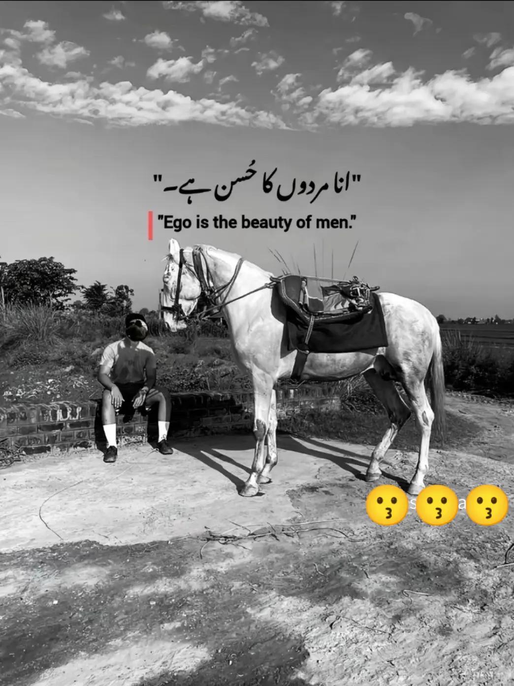 @Hasnain Raza