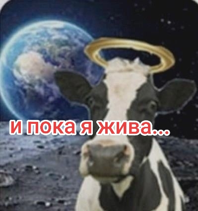 @шампунь принцесса