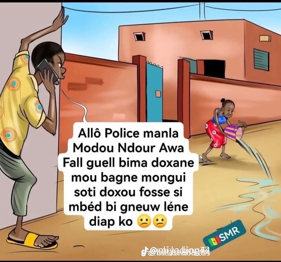 @babse DG