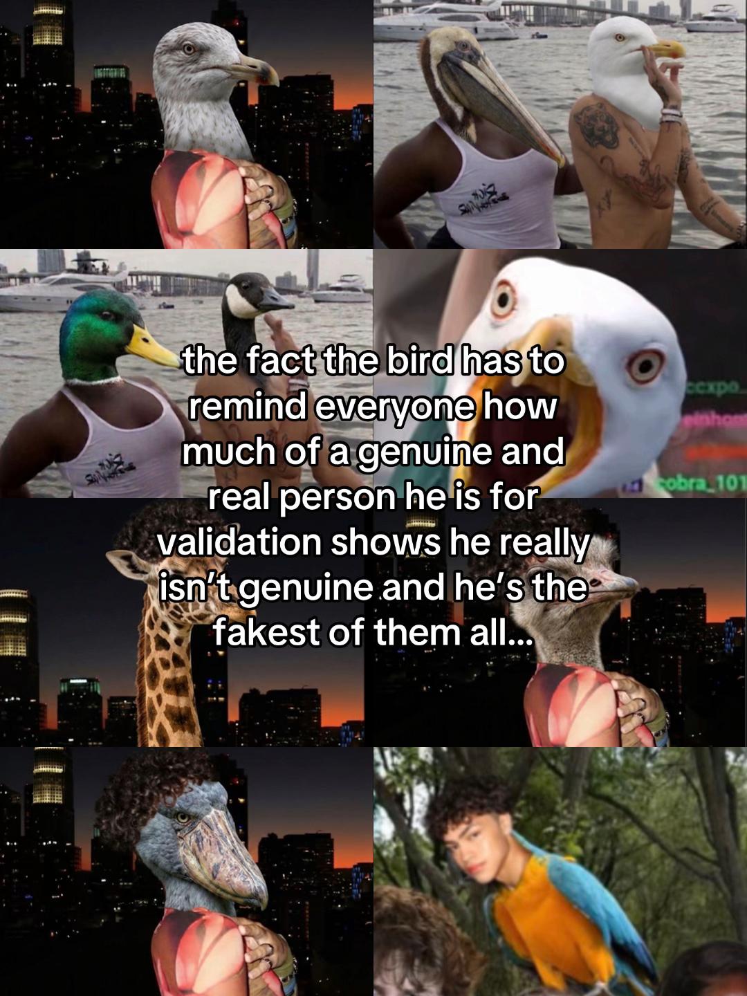 @birdcotter
