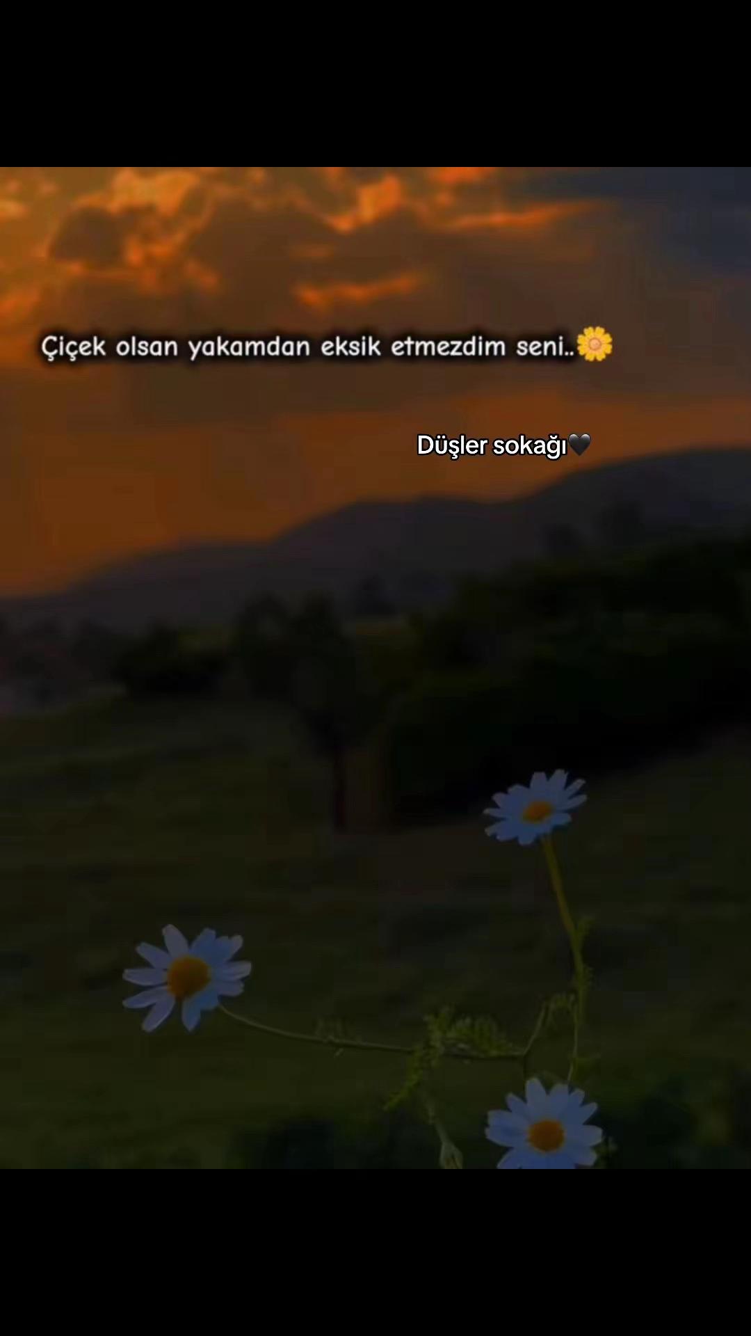 @๐ฅ๐üล๐ฅ๐๐ซ ๐ฌ๐จ๐ค๐ฤฤฑ๐ฅ
