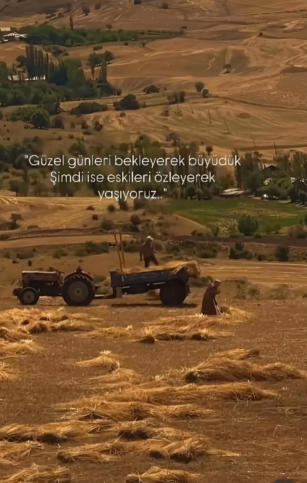 @osman kanat