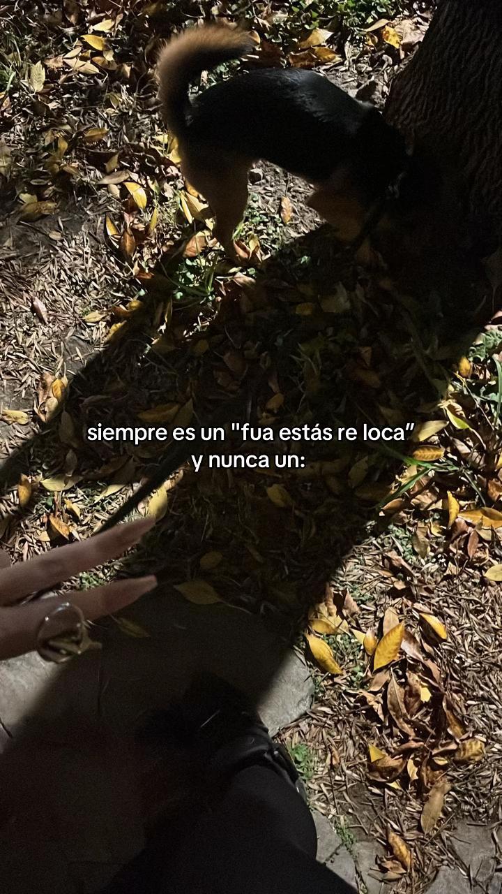 @jimenapgll