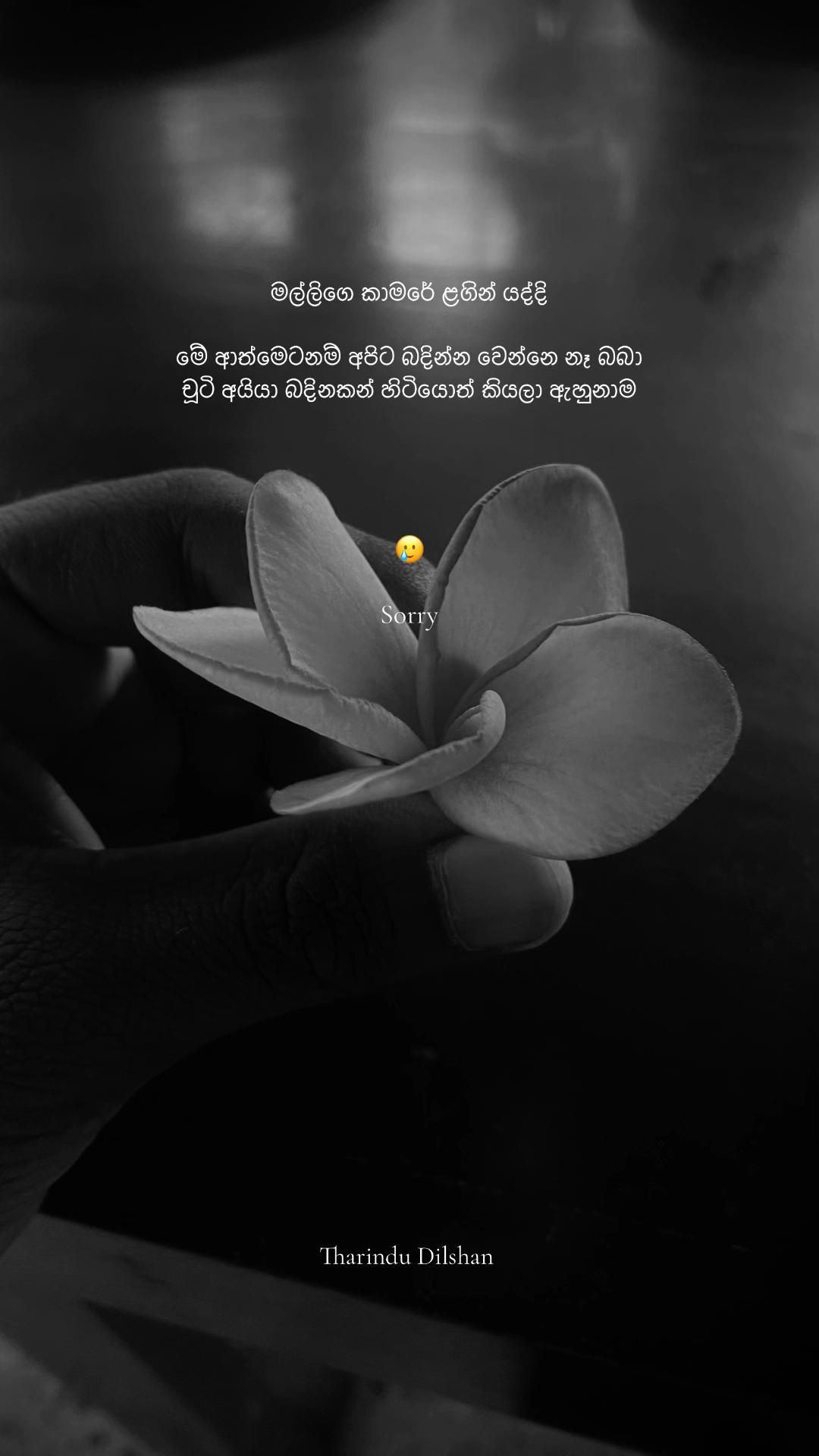 @lifewithme433