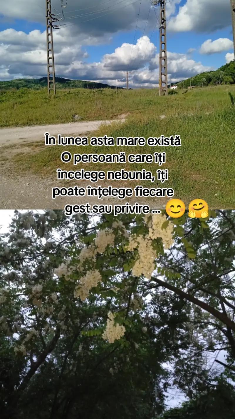 @Alina ๐๐ค๐๐
