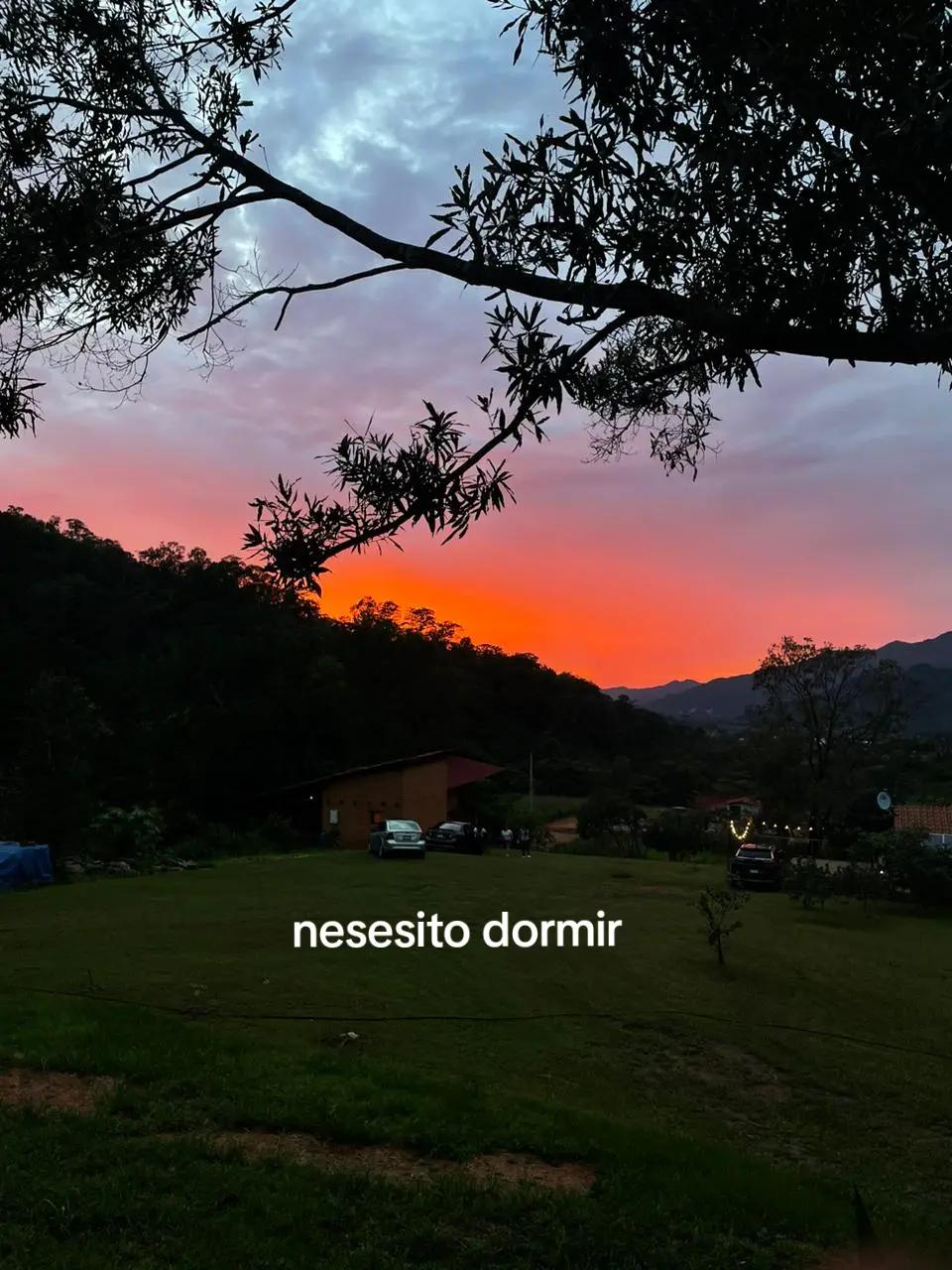 @hormiga 🐜🔥