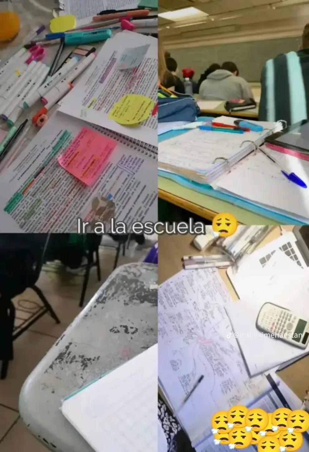 @el piojo de la lisa manobal💗