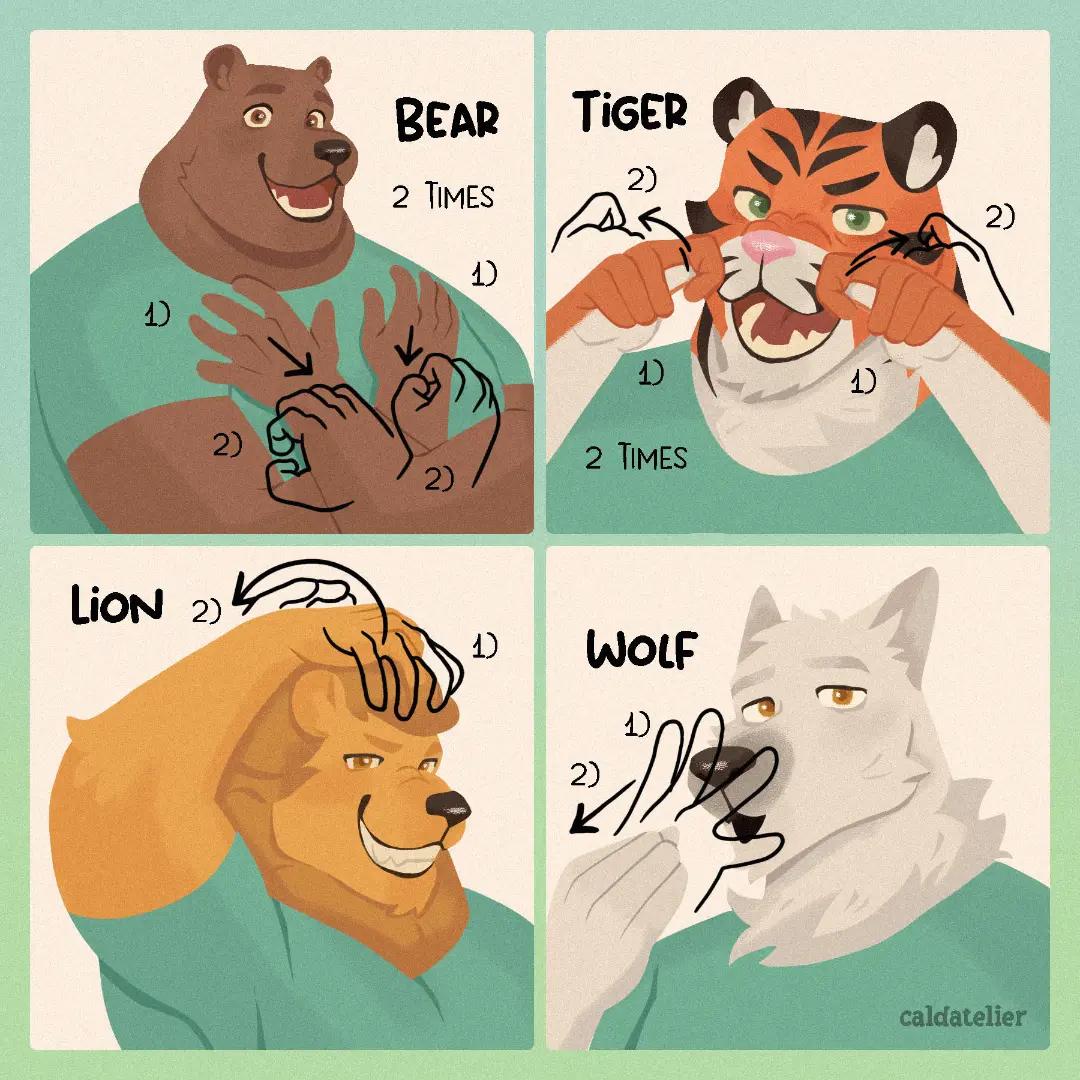 @oso peludo༼ つ ◕‿◕ ༽つ?