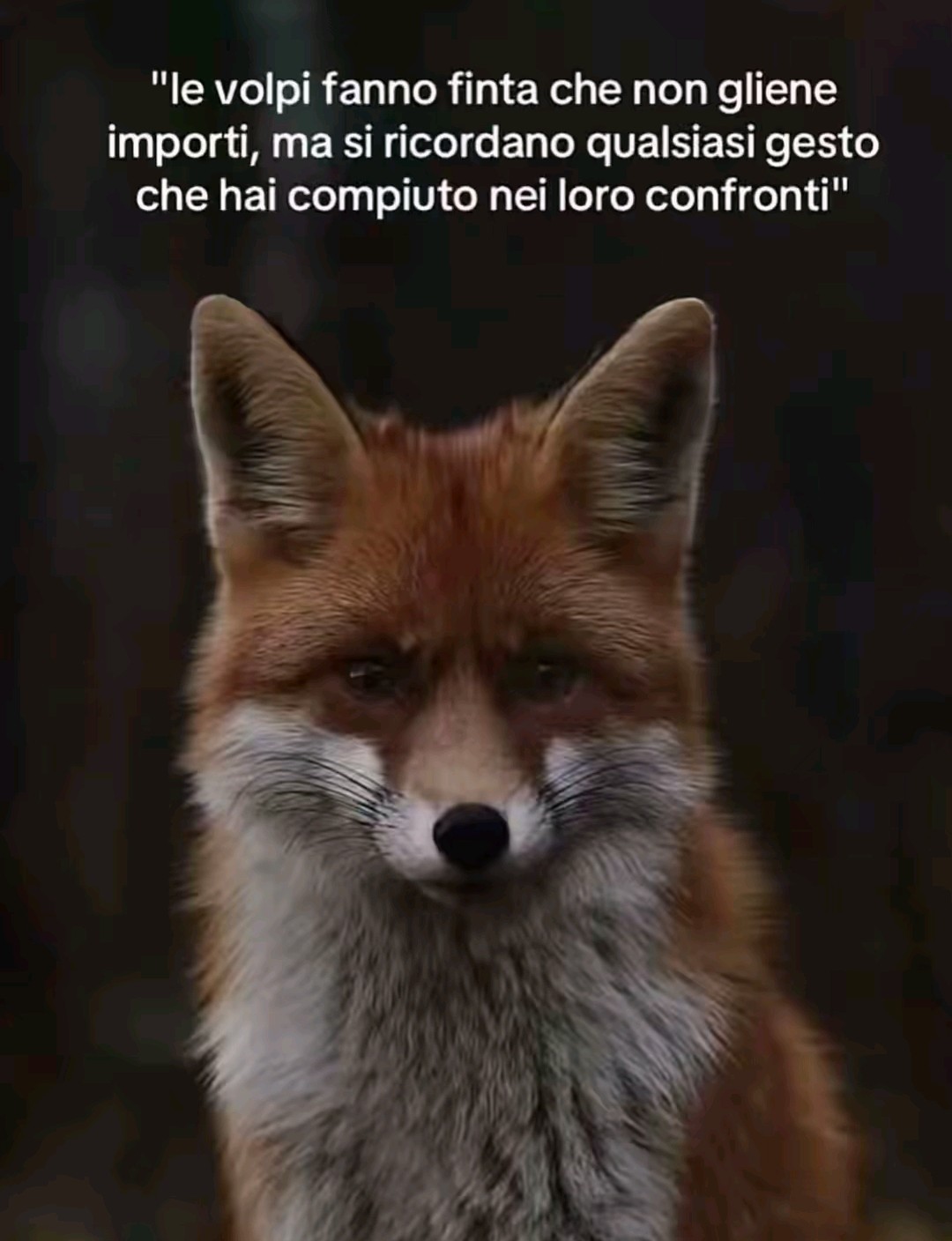 @・❥・𝓜𝓲𝓬𝓱𝓮𝓵𝓵𝓮・❥・