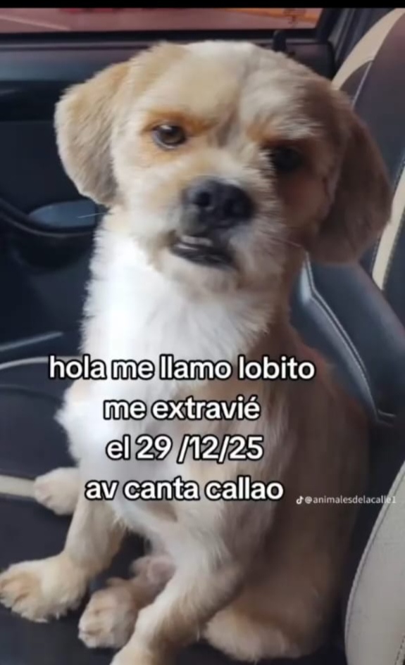 @Indira Vicente