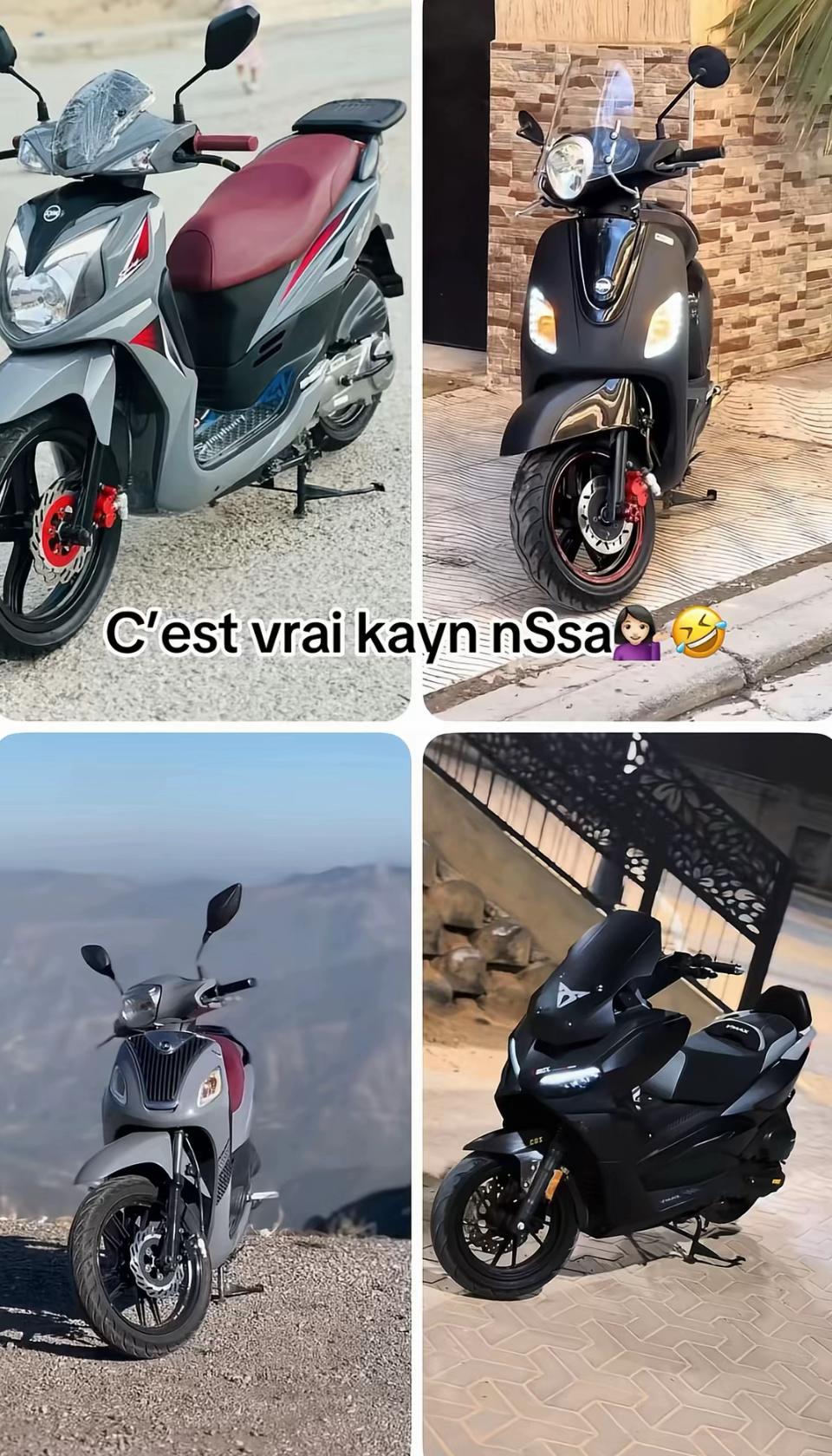 @mhamedd .🐺