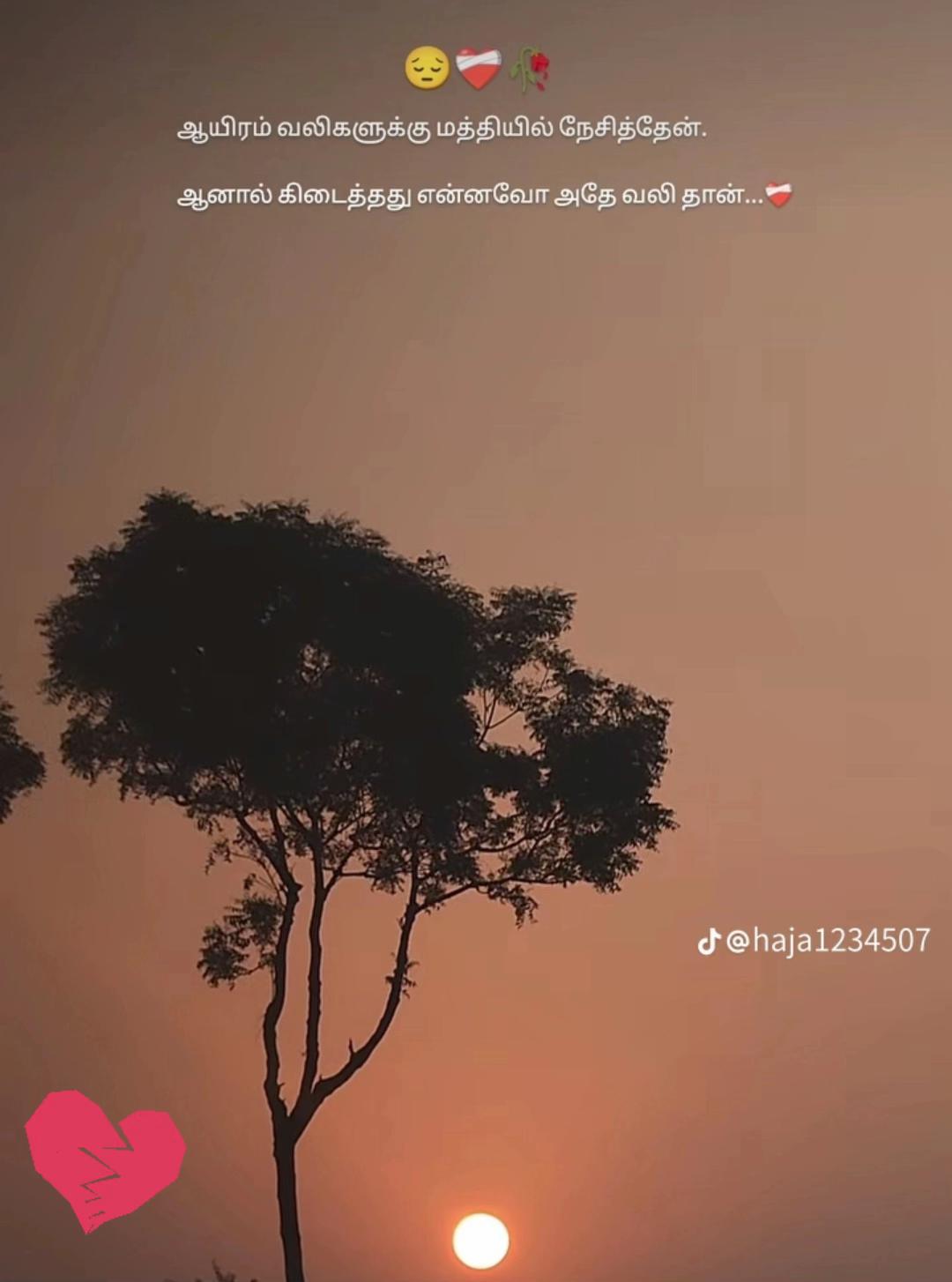 @💫💥பூனைக்குட்டி💥💫