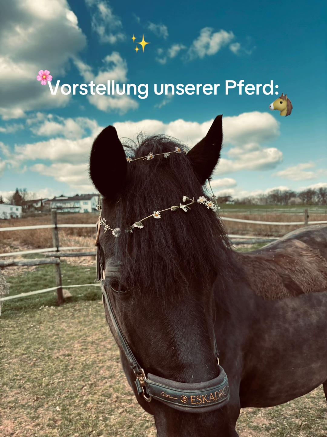 @Kinderreitenfulda