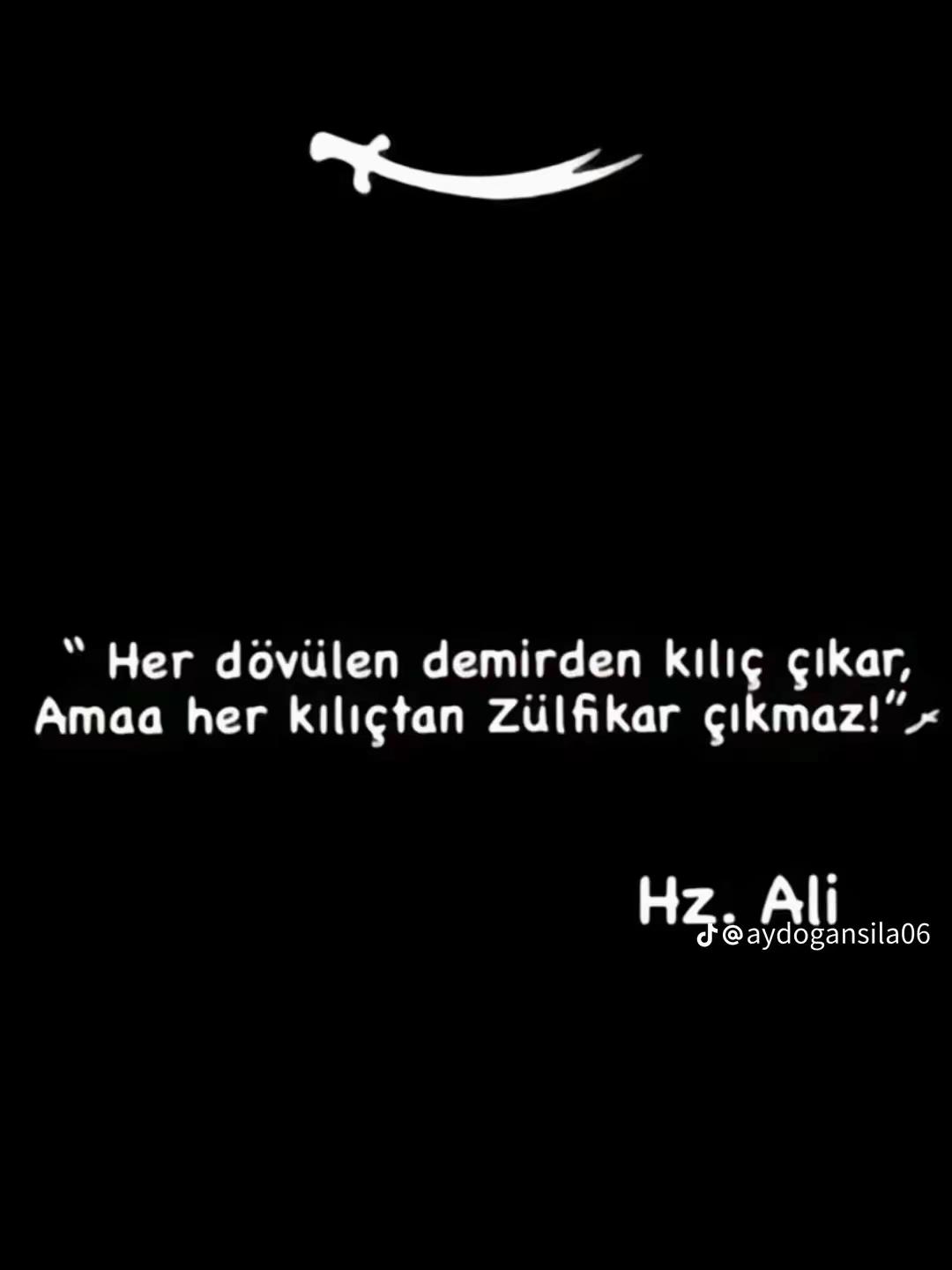 @66 &Ouml;MER FARUk ރ🐺🇹🇷ރ