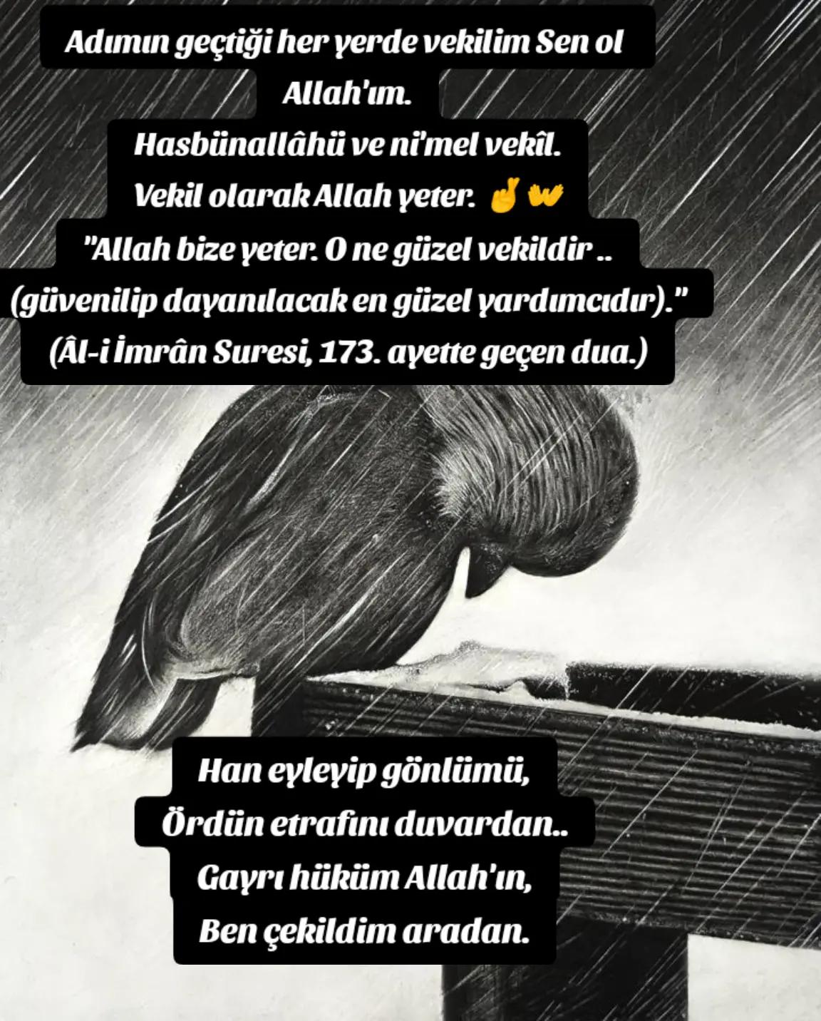 @🇹🇷 Zeynep 🇹🇷