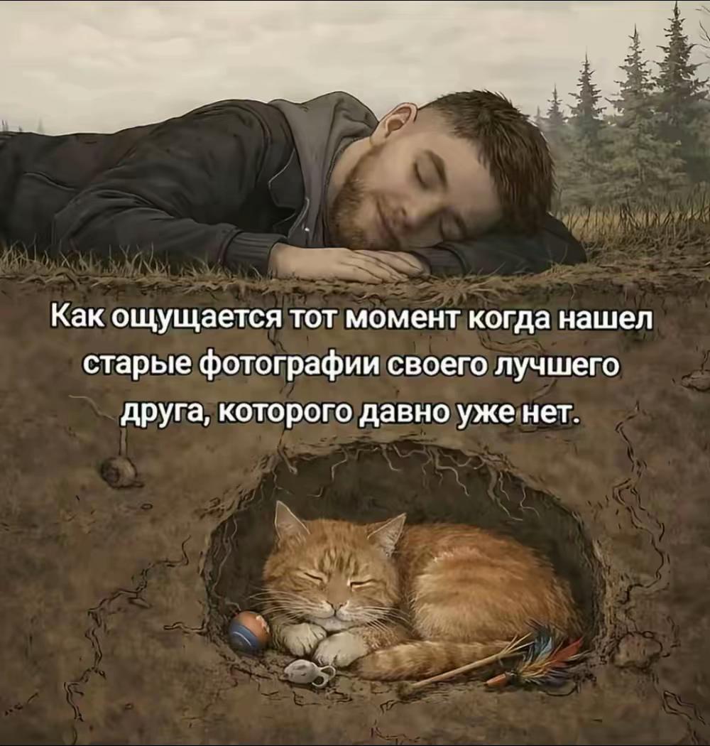@azamatomarov_