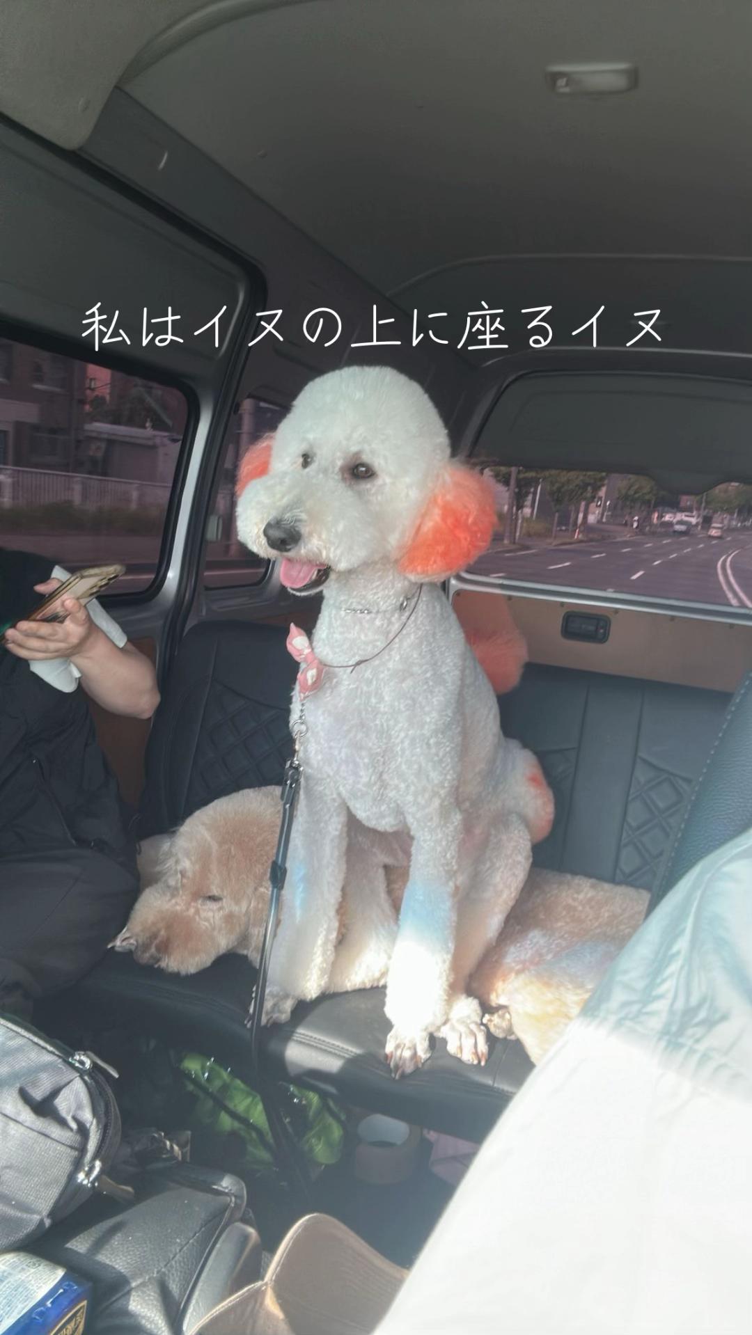 @かっちゃんと愉快な仲間達ち😎