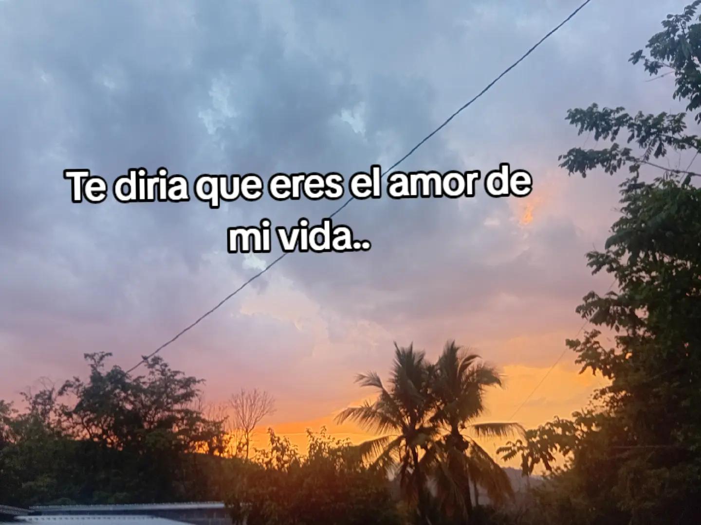 @LORE🧚♀️