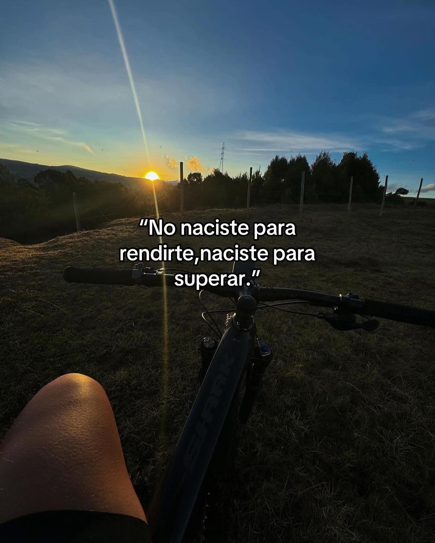 @luzbelizario