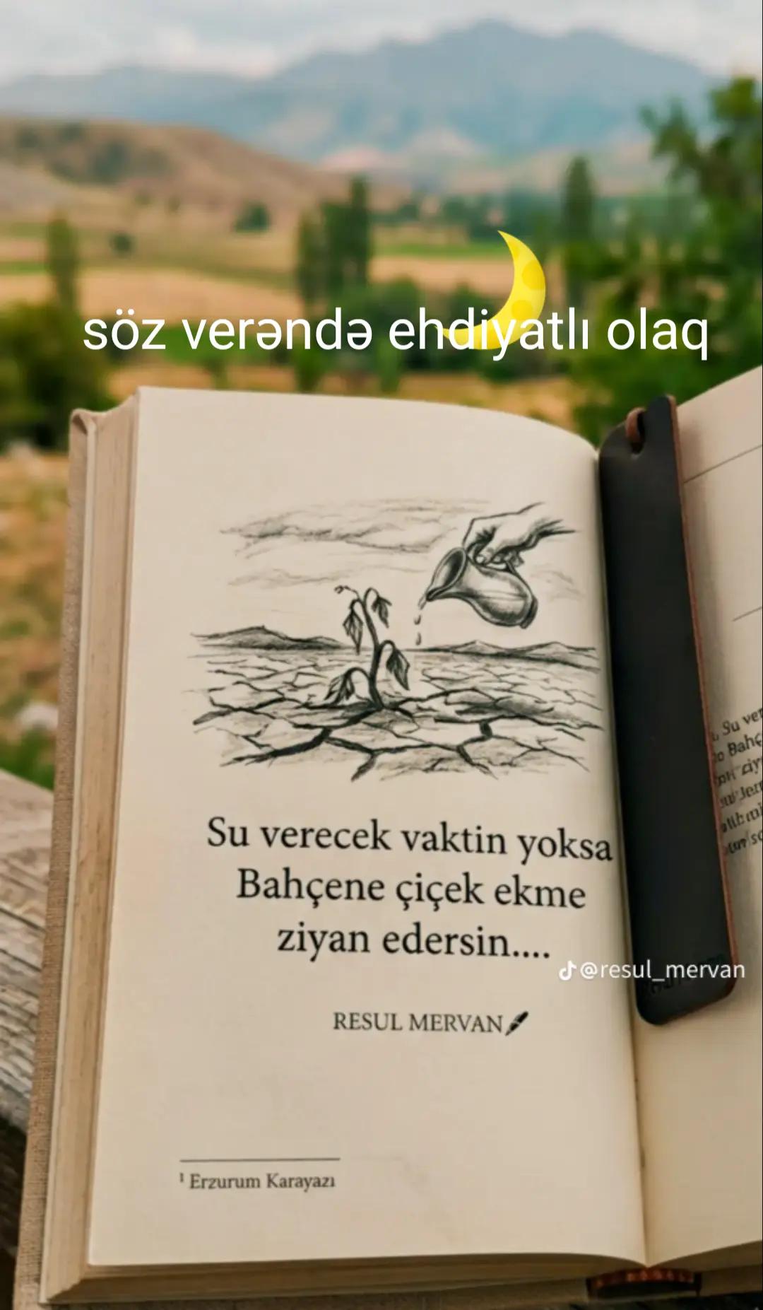 @sevincsalmanova