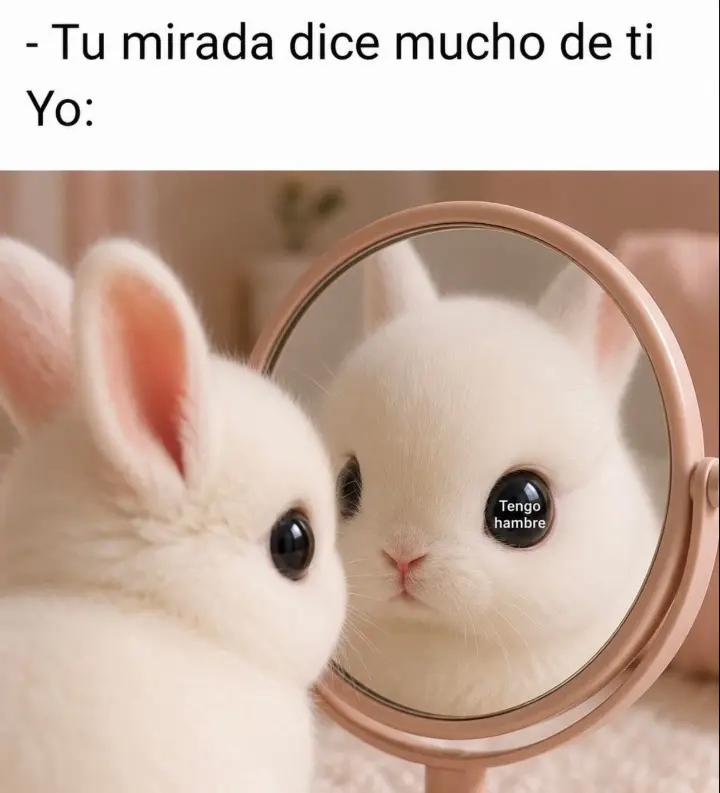 @flaquita🐱