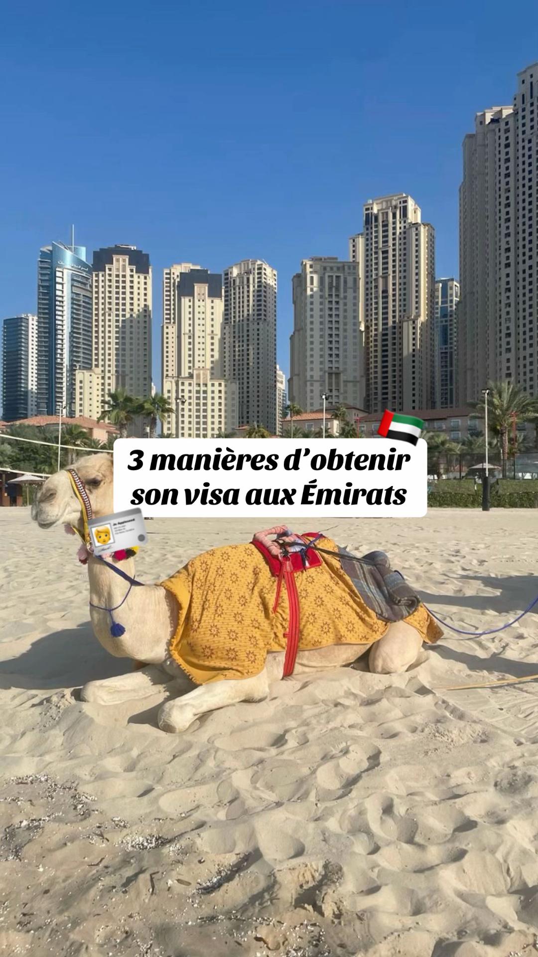 @Le couple UAE | Sharjah 🇦🇪