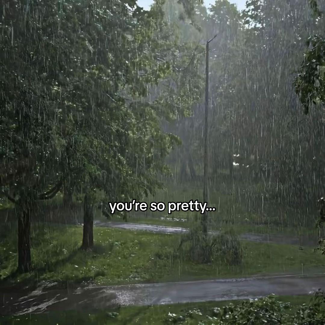 @vaninoir