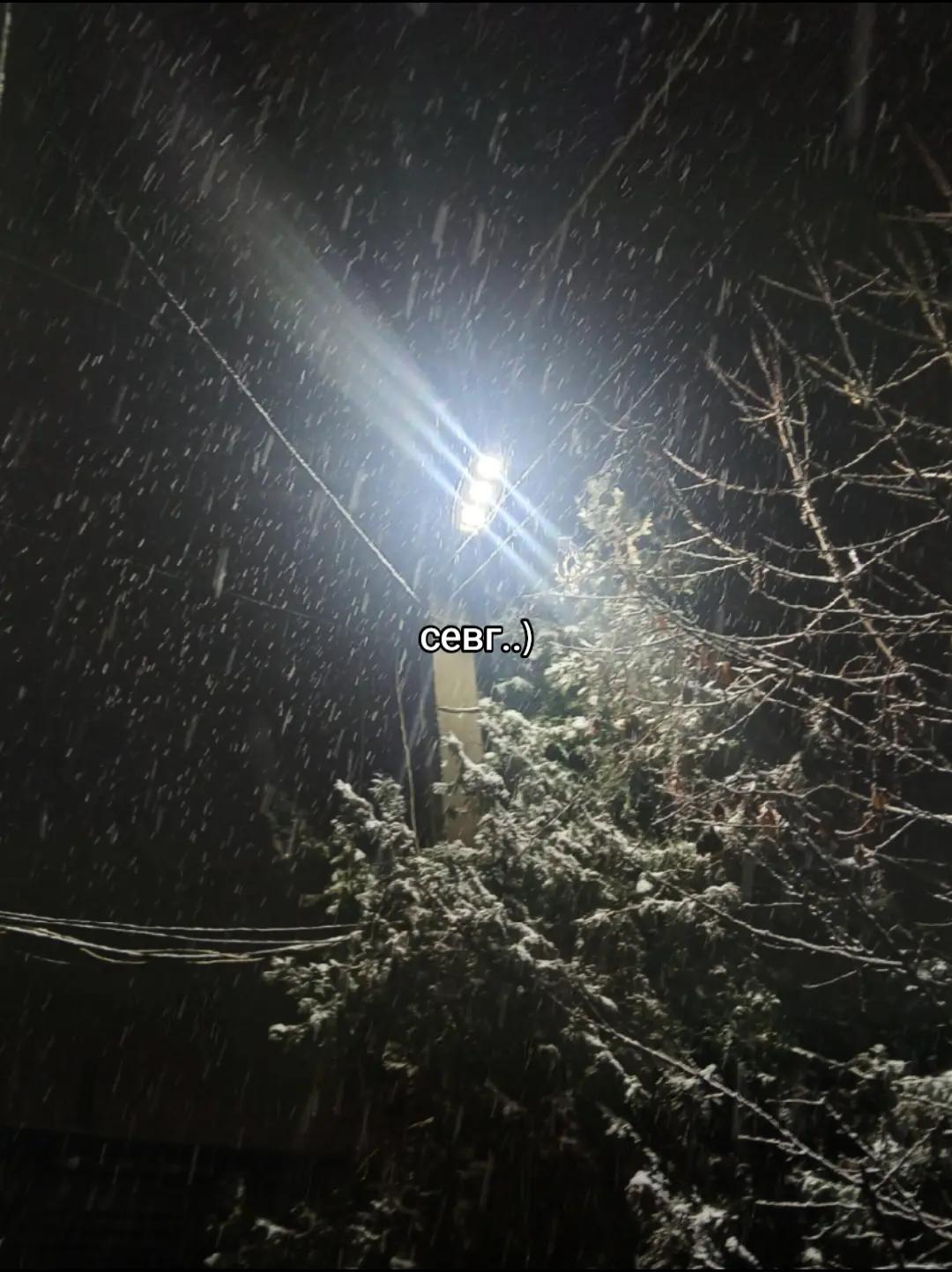 @jassurovnas