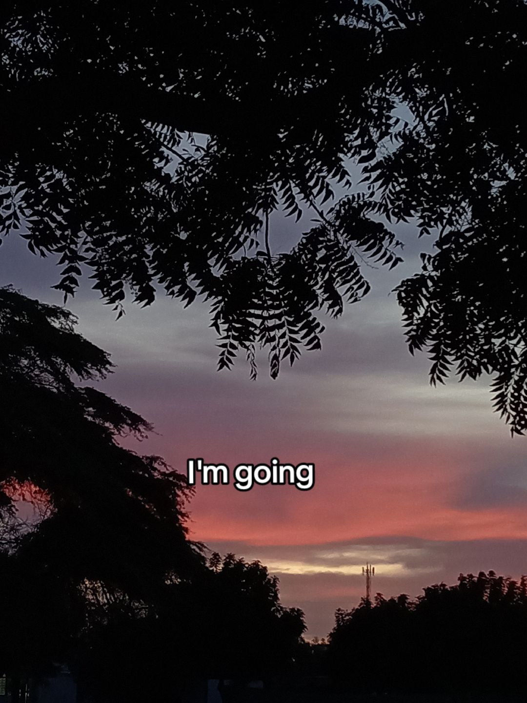 @𝙺𝚎̈𝚗 𝚒𝚍𝚔