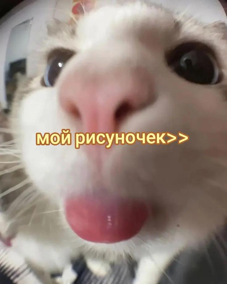 @aksii_