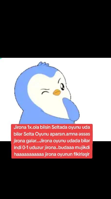 @Leyla Cebiyeva