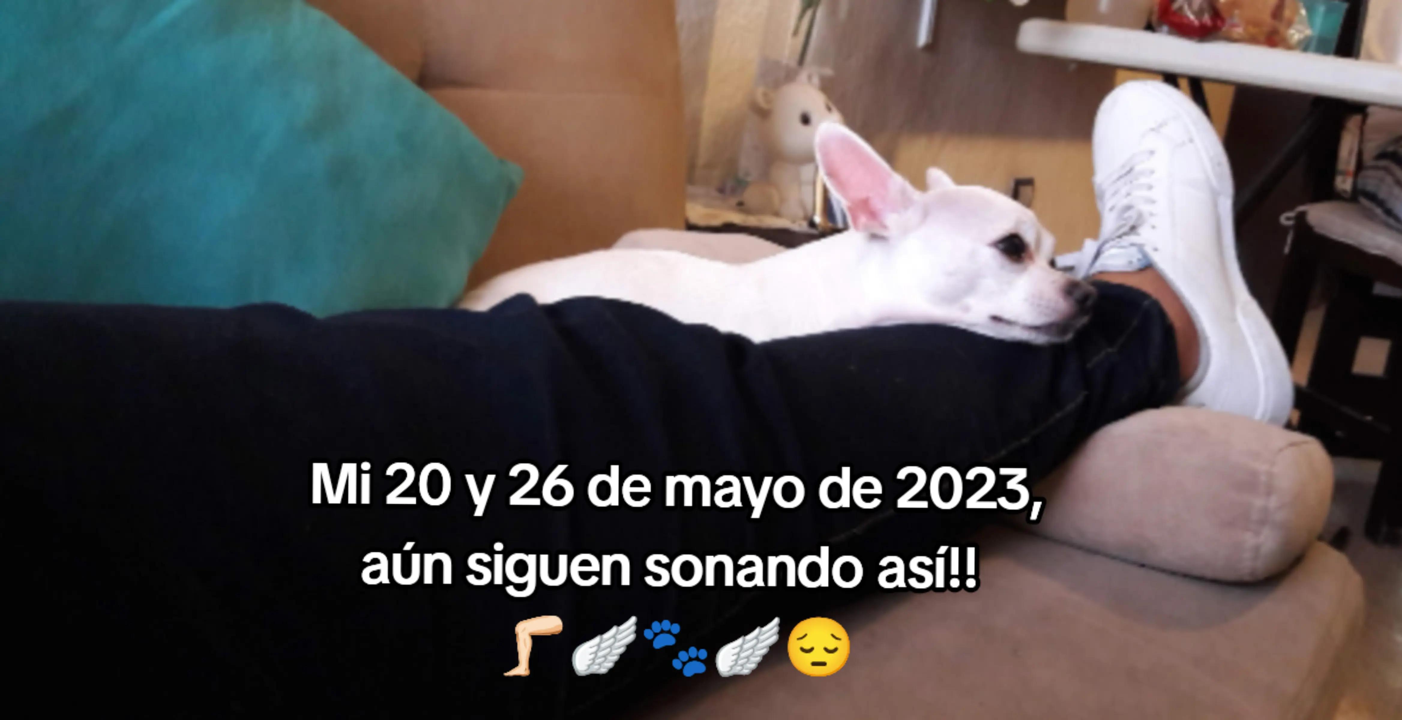 @LilyTajonar🦵🏻🪽😔
