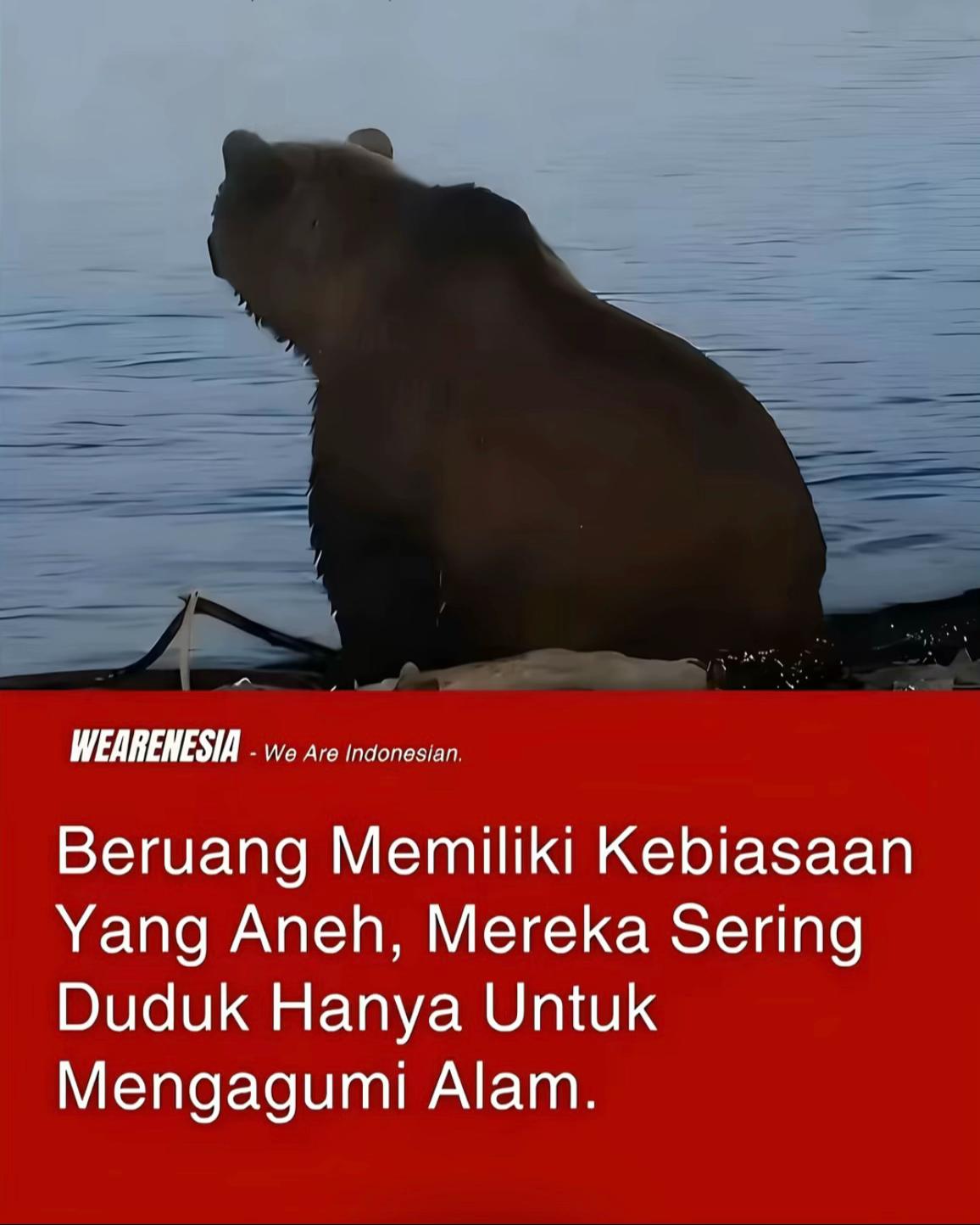 @Natura Sangkuriang Official