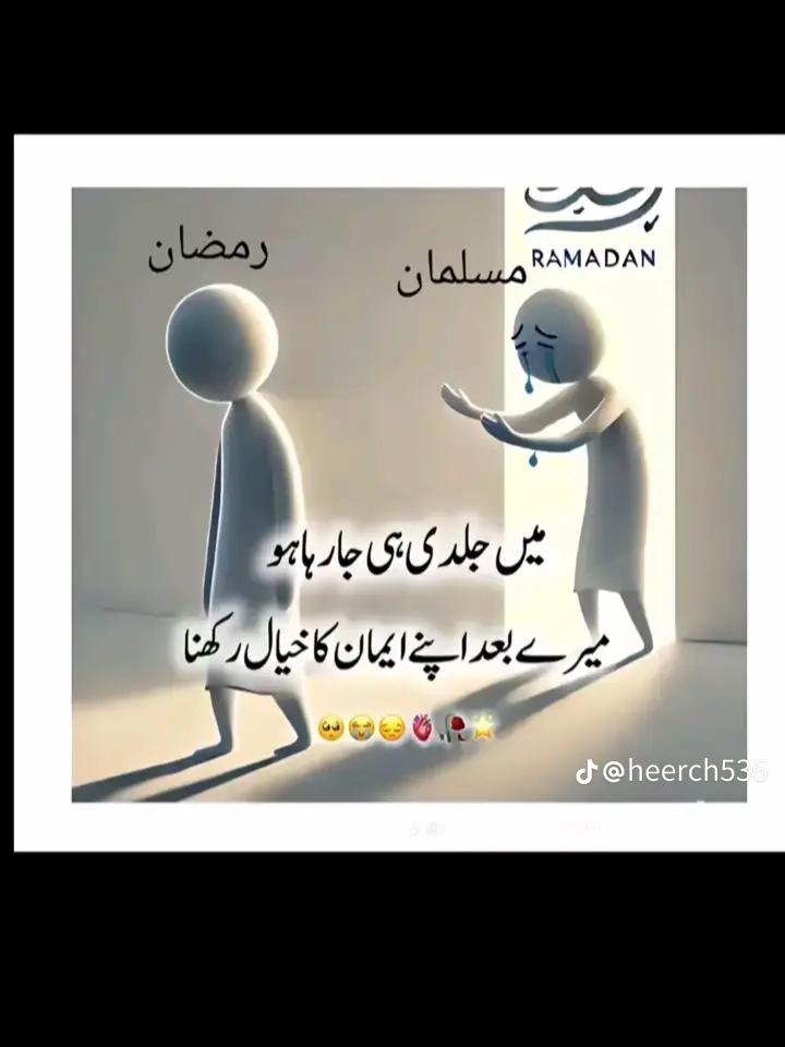 @🦅نعمان علی🥷