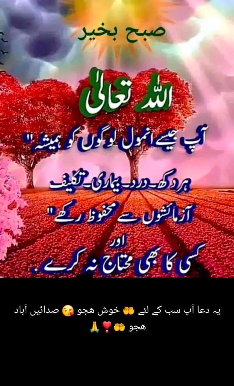 @Tahir kk