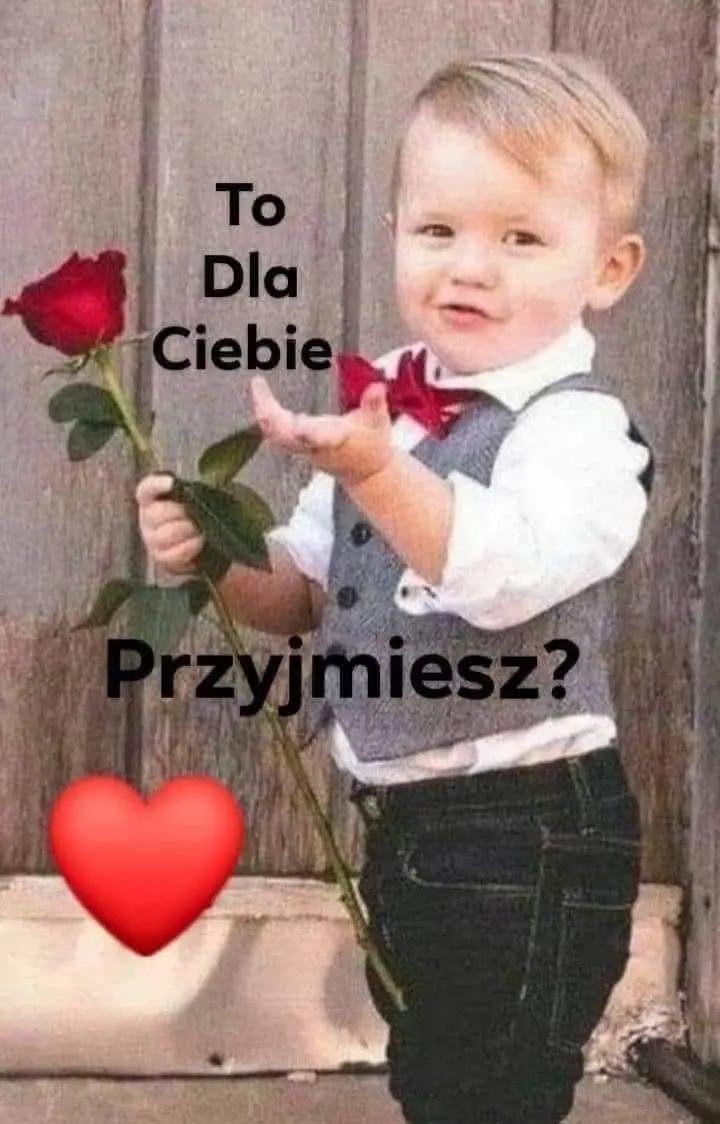 @Barbara Jamrozik486