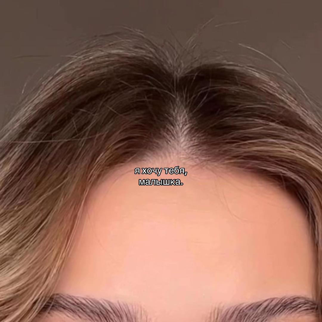 @тгк: тишка ⚜️