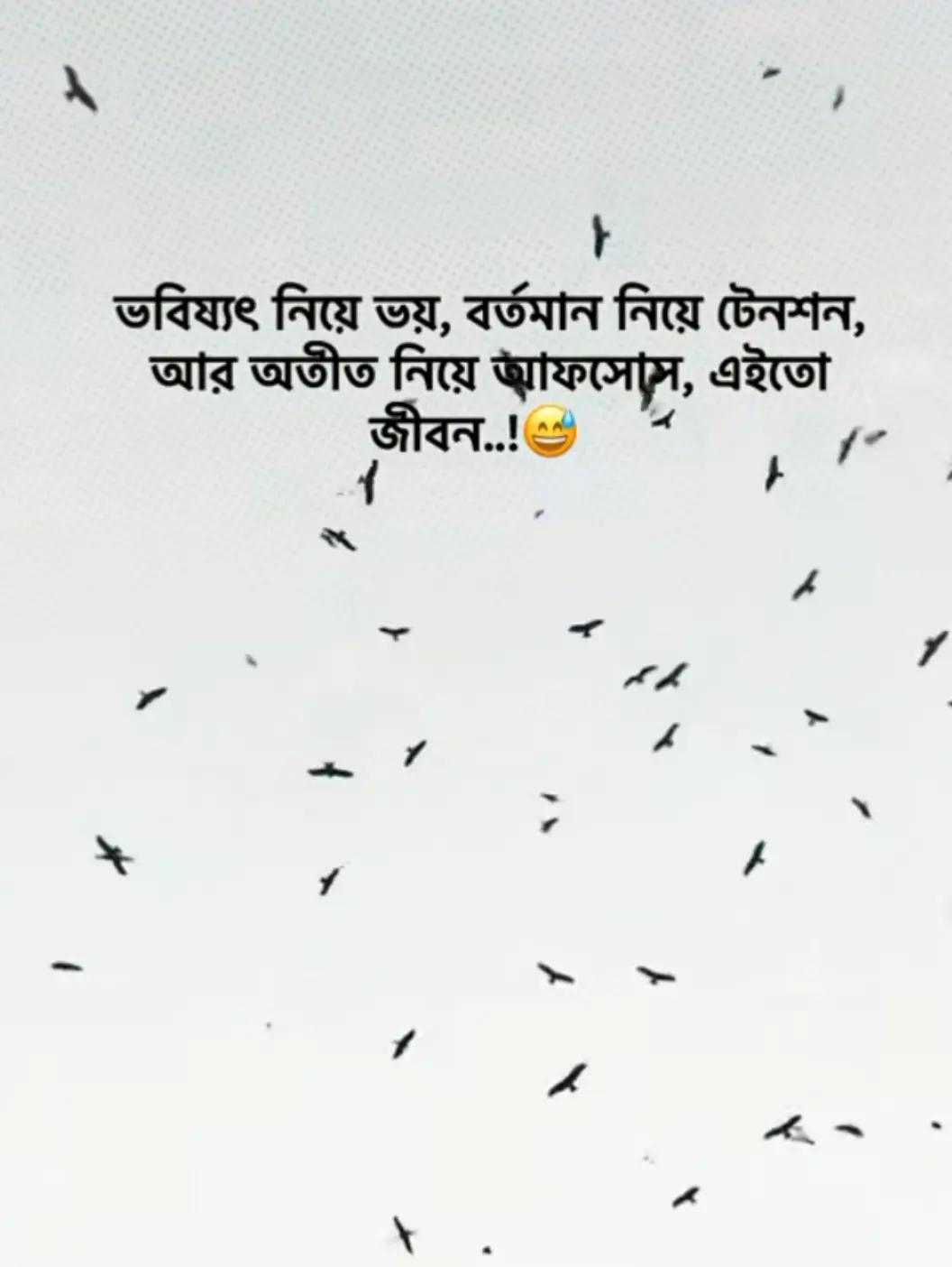 @F.MAHBUB