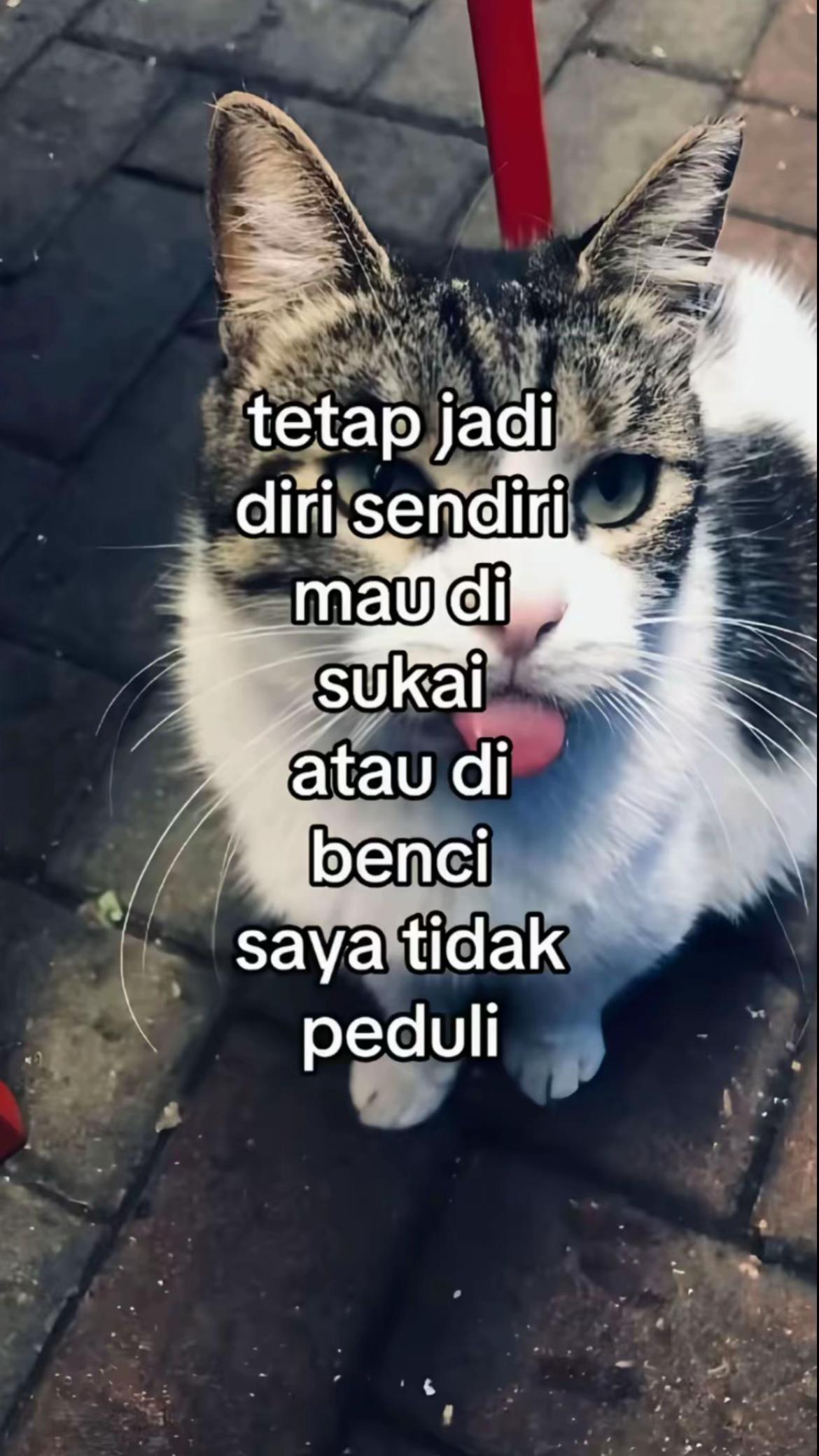 @ardk443