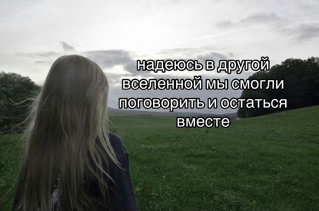 @mosquito