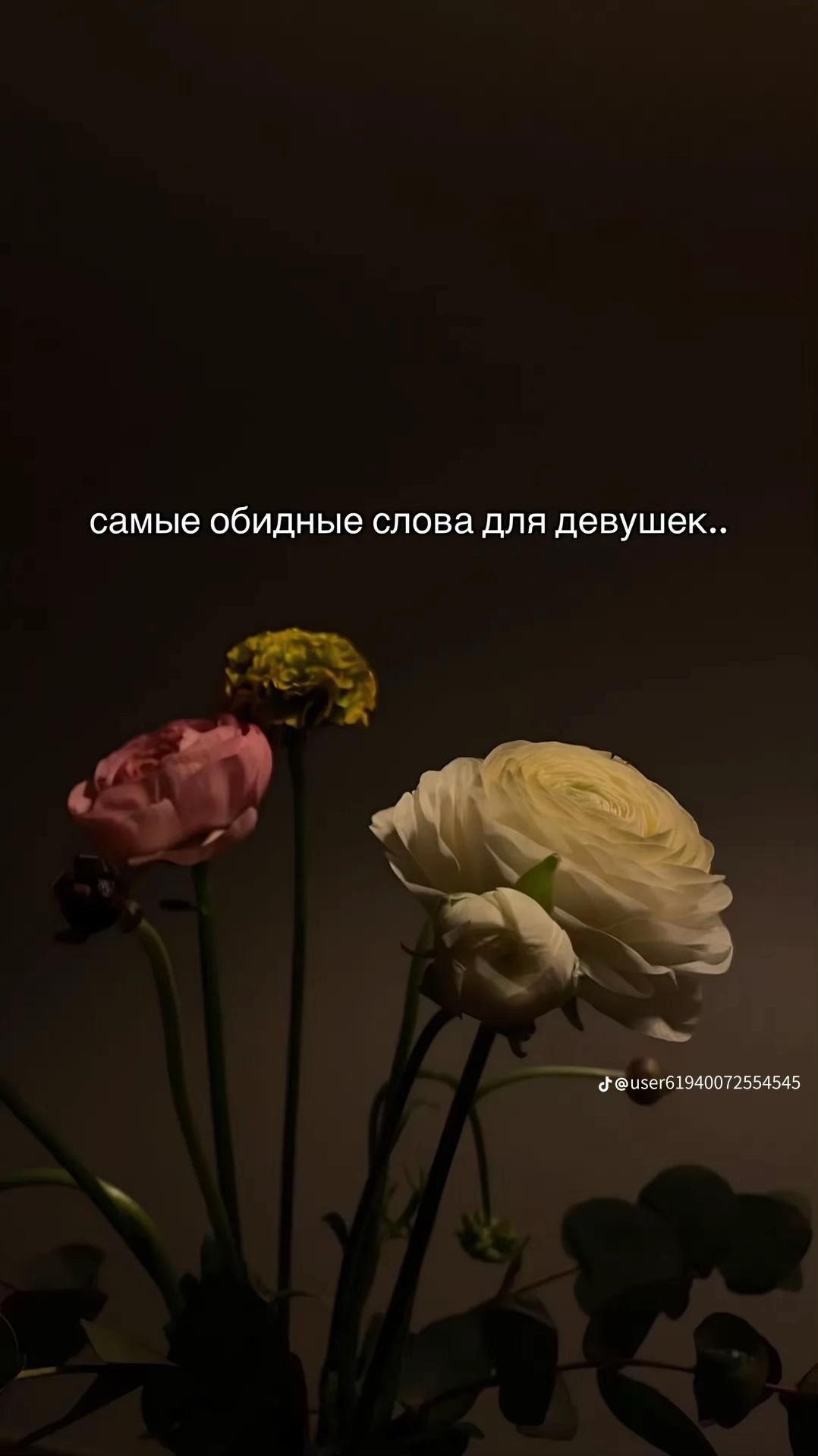 @Murka_ar