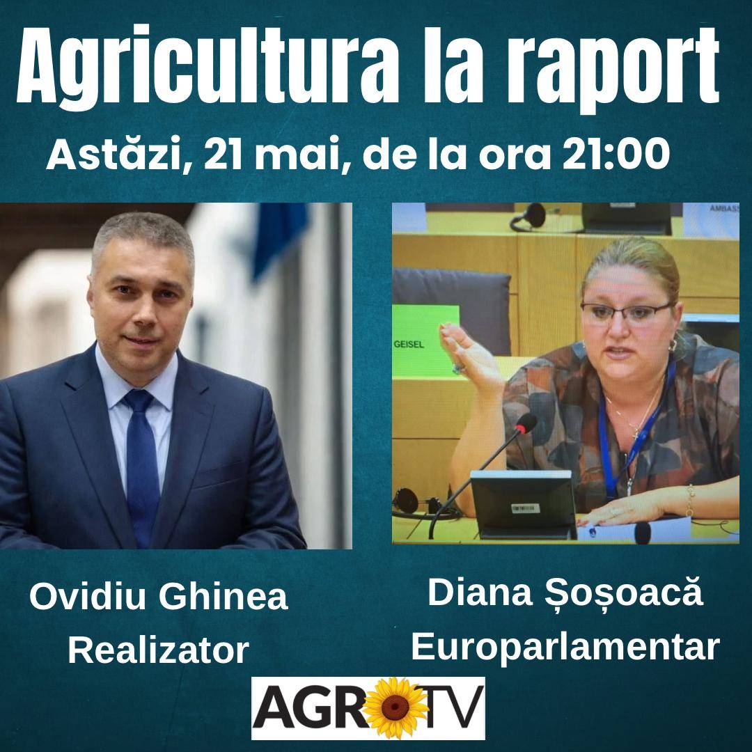 @vasiledeac812