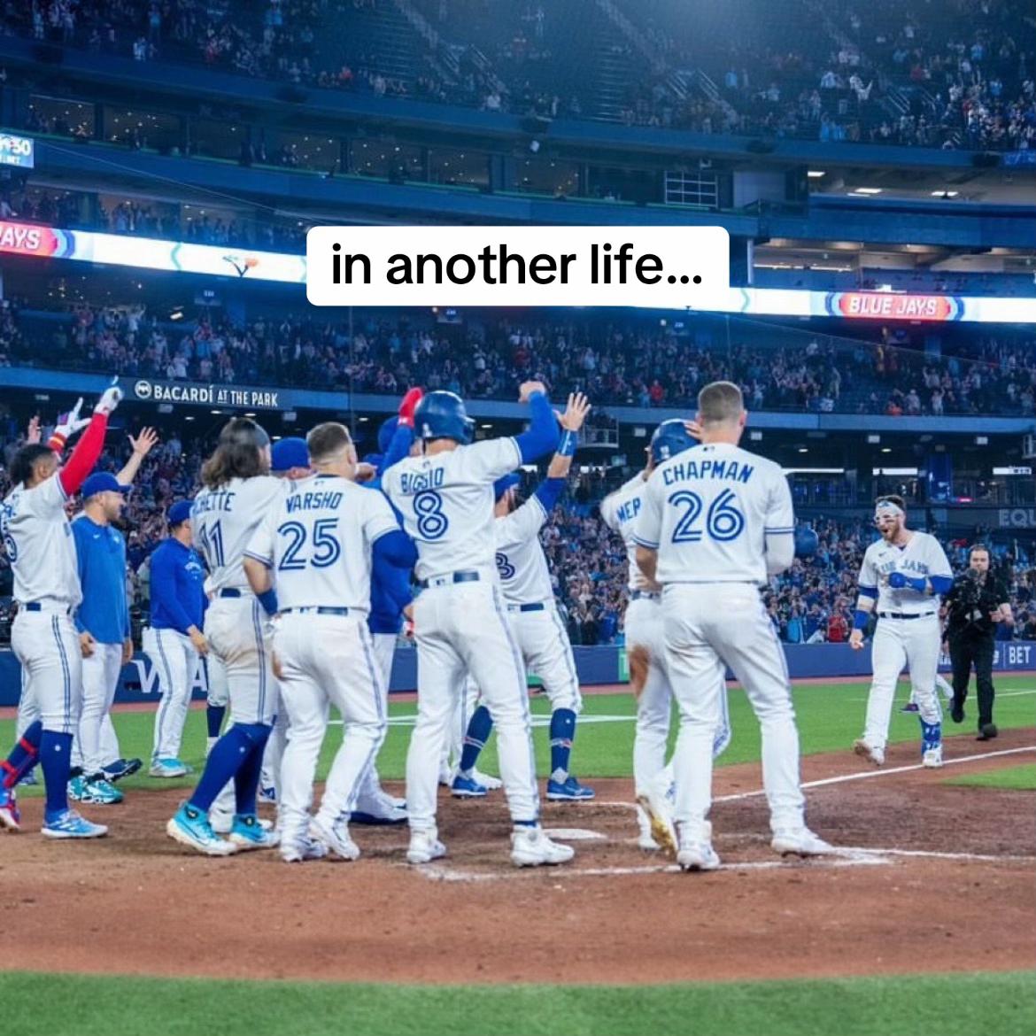 @dansi ⚾️