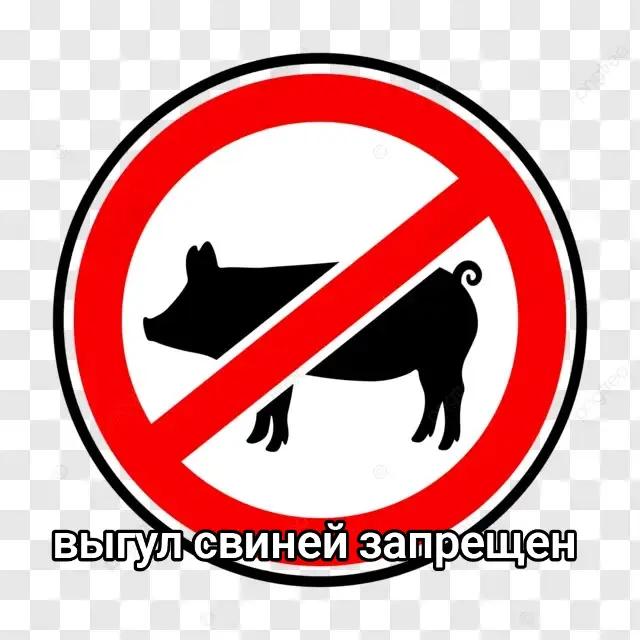 @Сунгулик