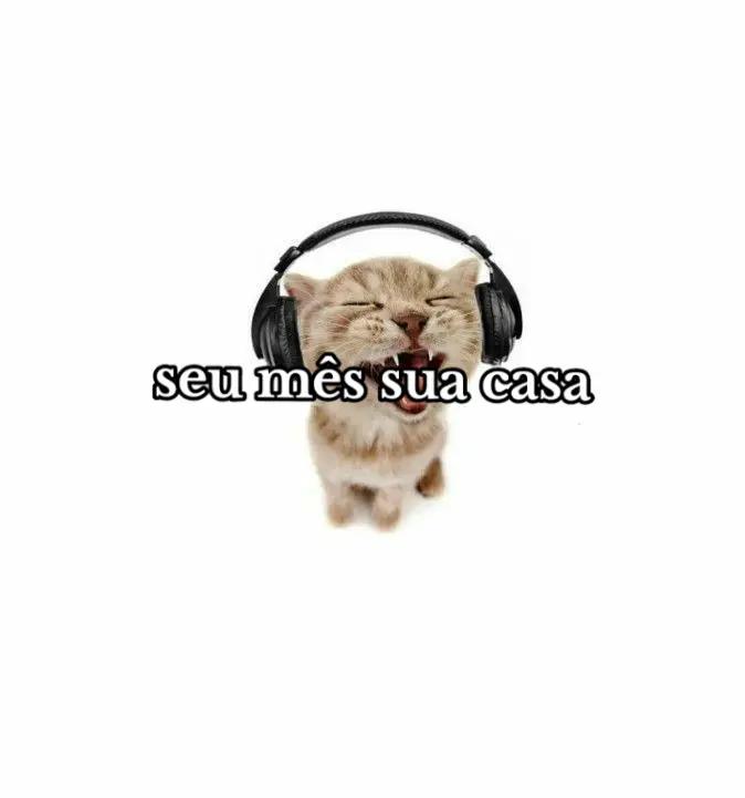 @⋆. 𐙚 ˚ꫀׁׁׅܻׅ݊᥎ׁׅꫀׁׅܻ݊hׁׅ֮𓃭⋆.