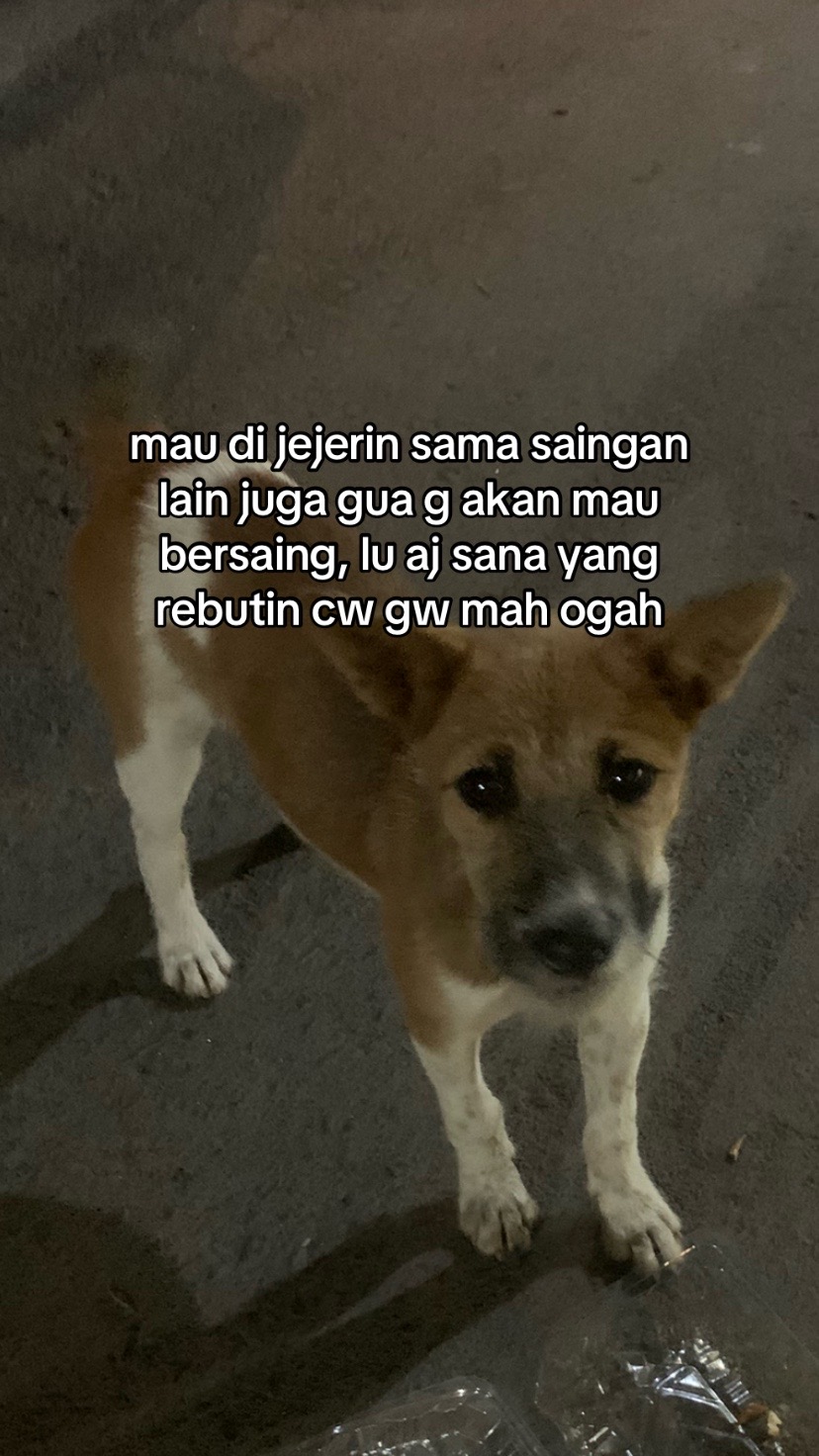 @exowithtyok_