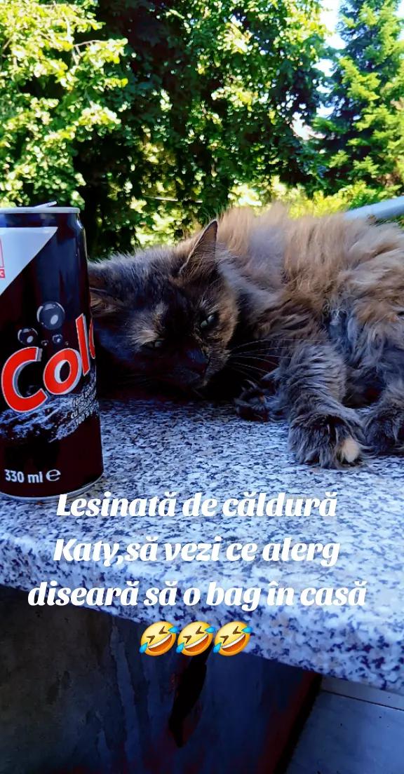 @Catalin Postolache