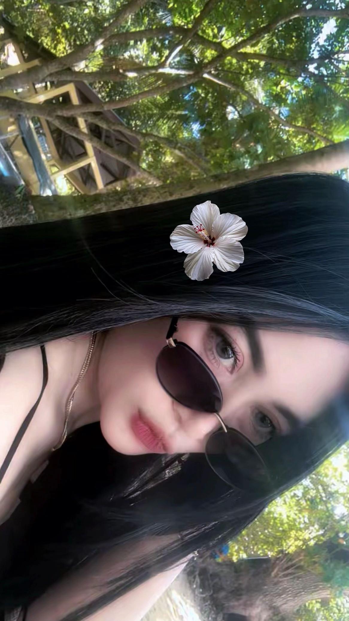 @N O V