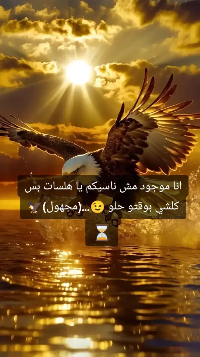@مجهول 2🥷