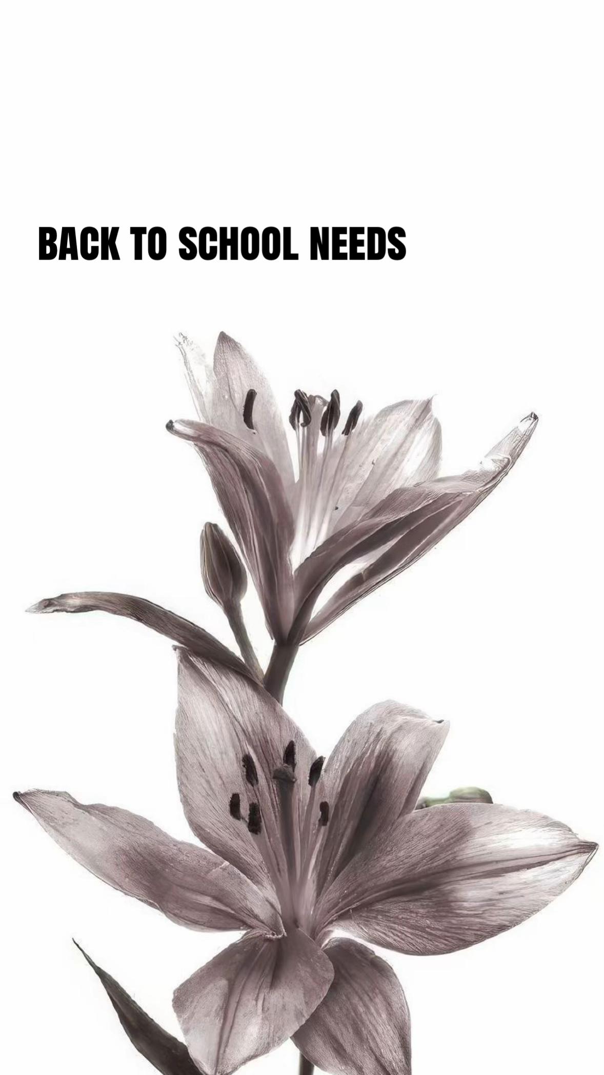 @🌺